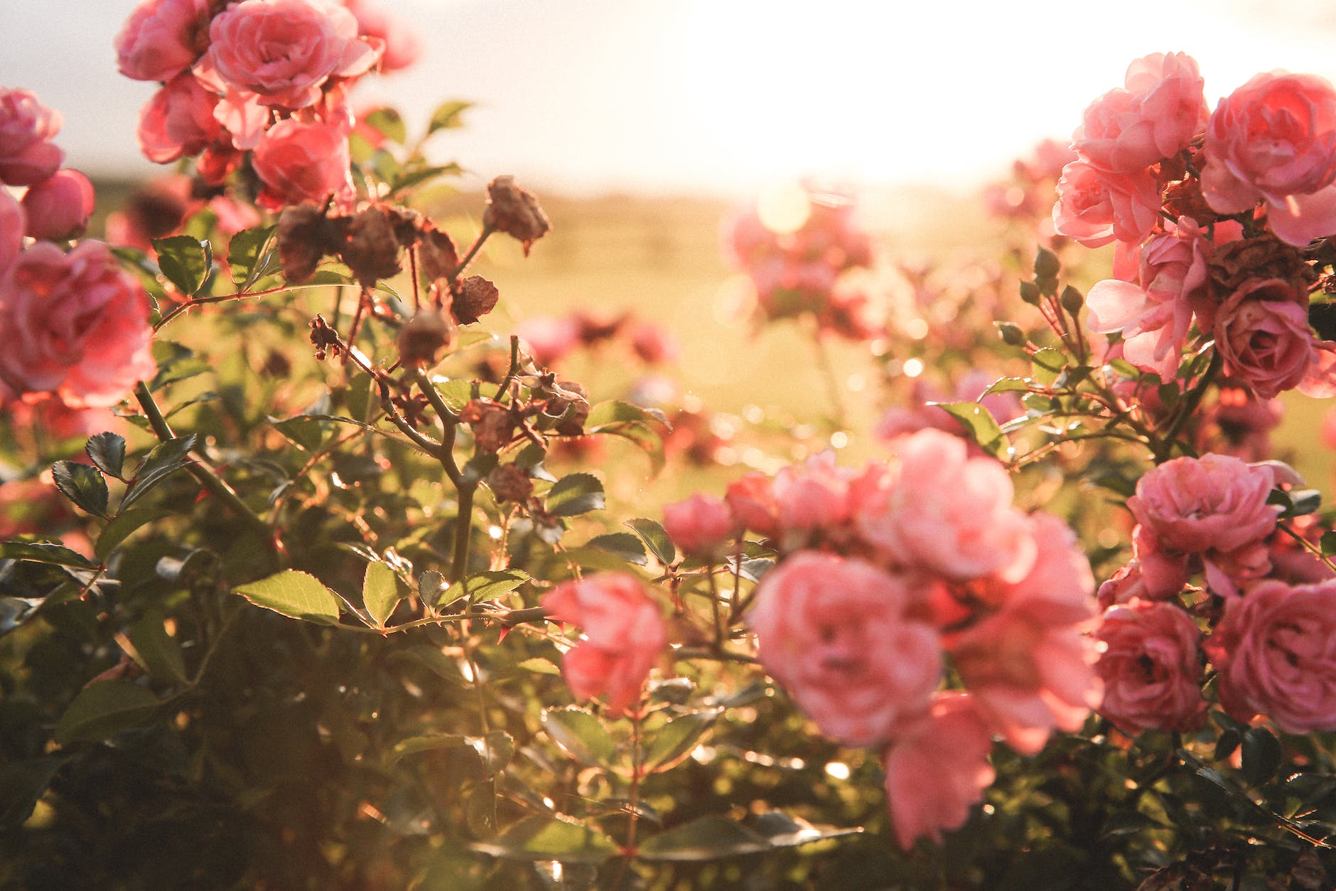 37 Simple Ways To Romanticise Life And Enjoy Every Day