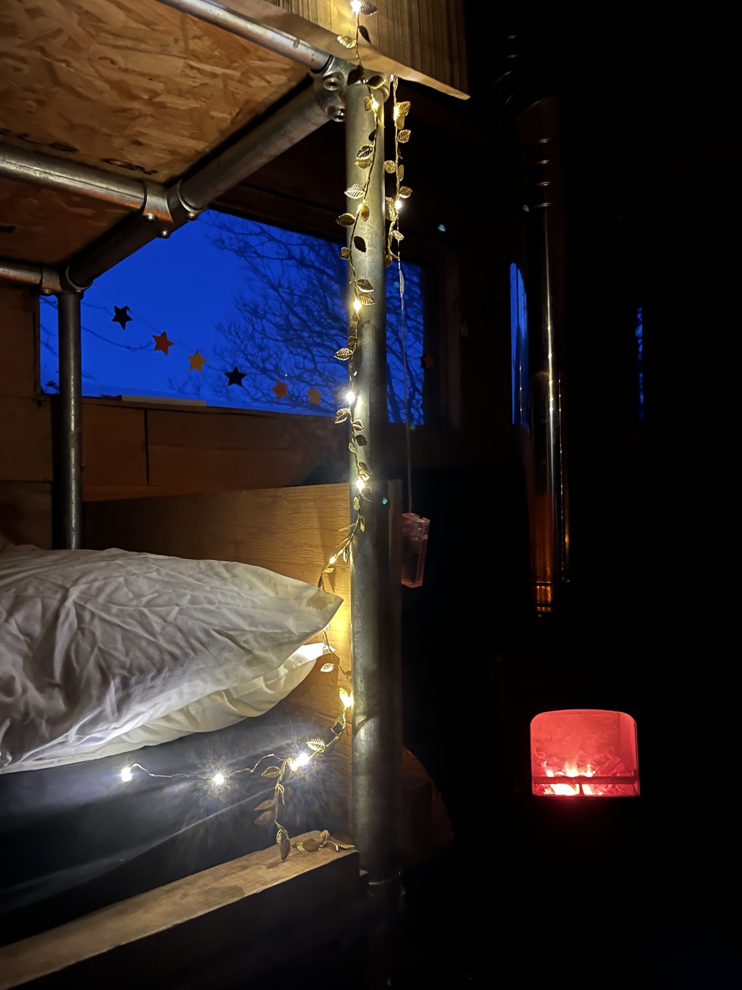Unplugged & Free: A Digital Detox in a Cabin in the Woods